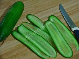 Salatalık Yelkenleri